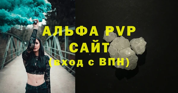 спиды Богданович