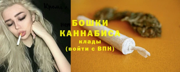 спиды Богданович