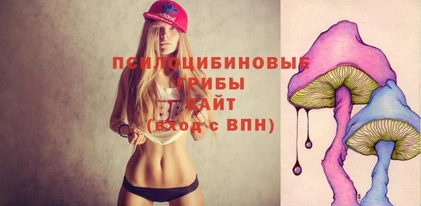 a pvp Богородицк