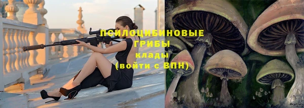a pvp Богородицк
