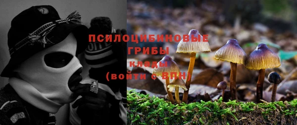 каннабис Бородино