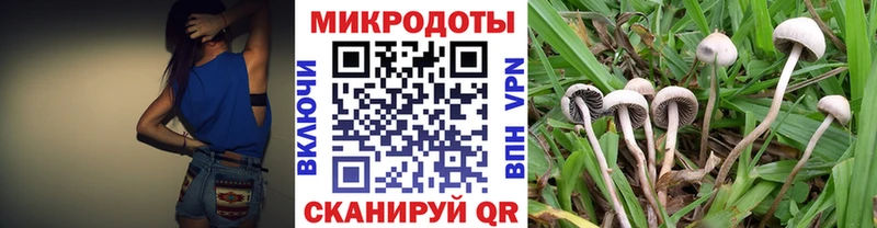 Псилоцибиновые грибы прущие грибы  где можно купить   Кондопога 